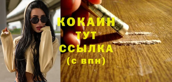 Альфа ПВП Дубна