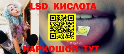 гашик Будённовск