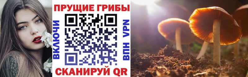 Псилоцибиновые грибы прущие грибы  наркотики  Вольск 