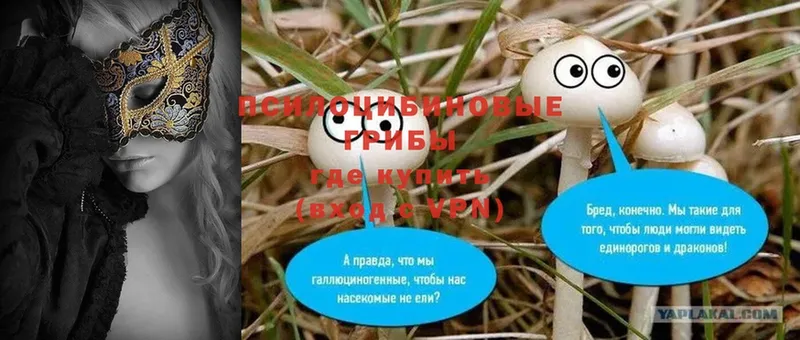 Галлюциногенные грибы Psilocybine cubensis  площадка какой сайт  Вольск 