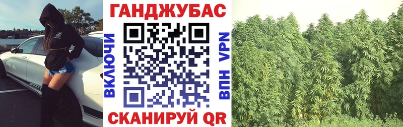 мега онион  Вольск  Бошки марихуана Bruce Banner 