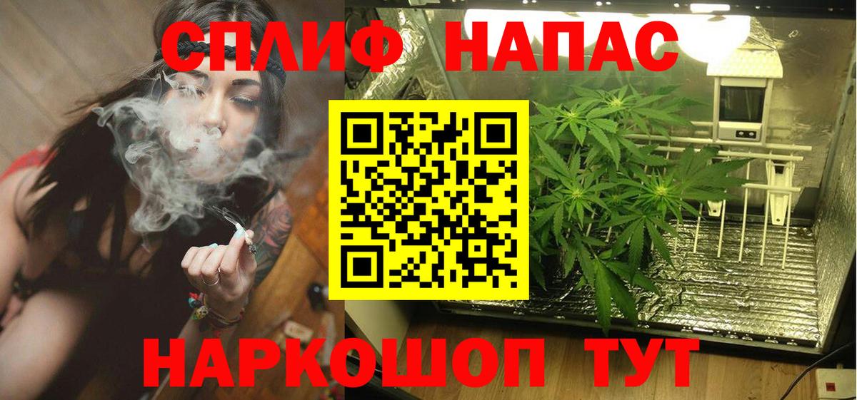 Канабис OG Kush Вольск